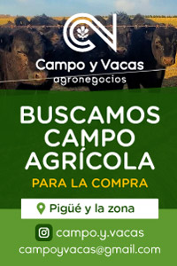 Campo y Vacas Agronegocios 4