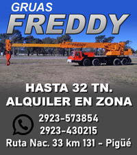 Grúas Freddy 2